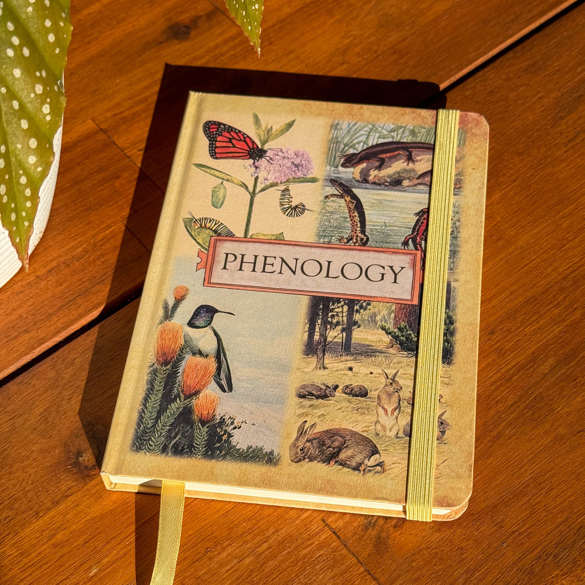 Phenology Journal - Guided Ecosystem Observation Notebook