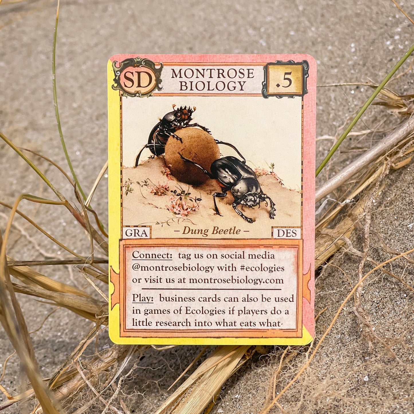 Ecologies: Contact Cards