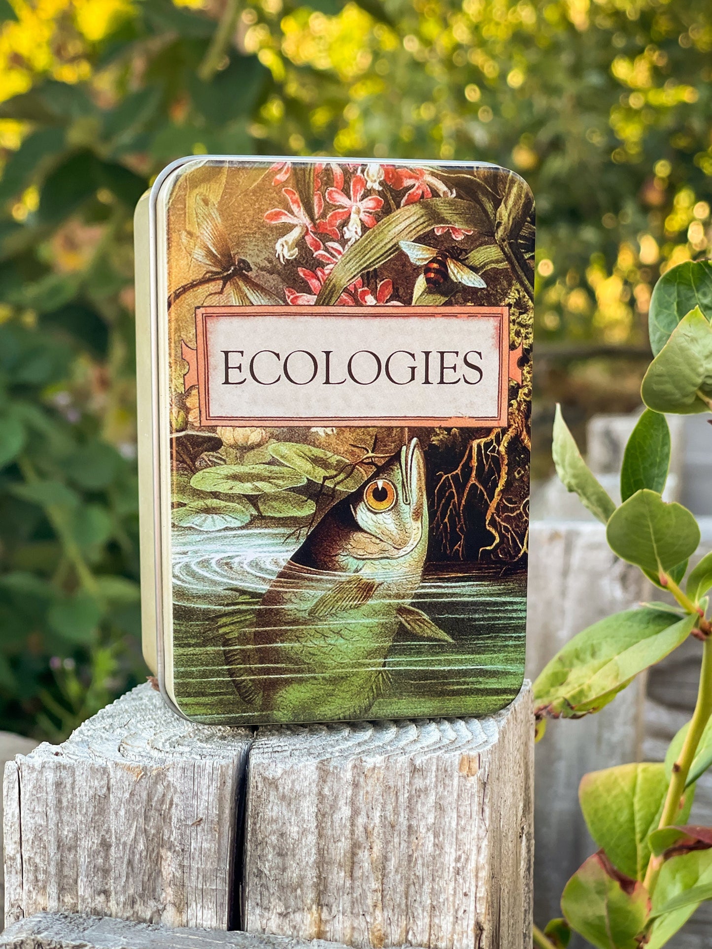 Ecologies Tin - Durable Metal Travel Box for Card Games