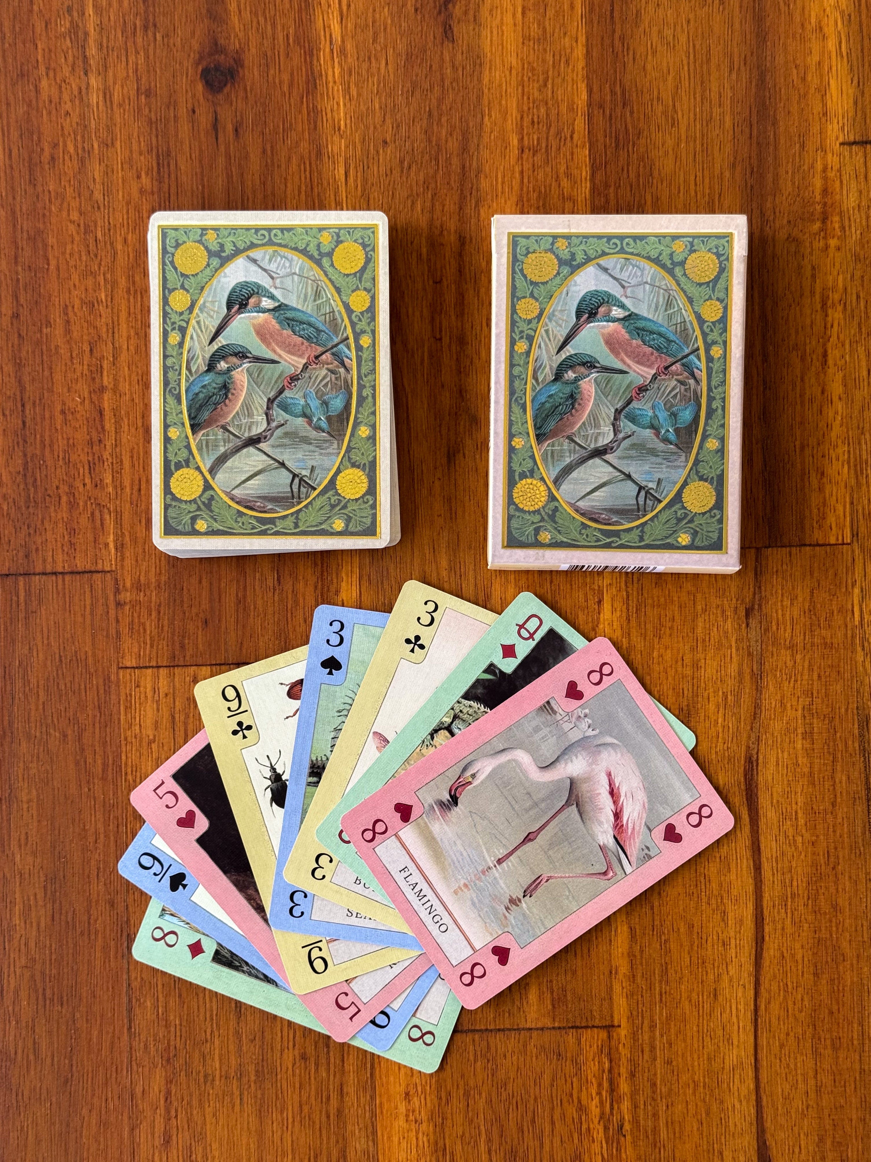 rare vintage playing cards Fish, Birds, Herps, and Inverts with the spade as 2023 Pokémon Quantity of FLAT Note Cards + Envelopes:Set of 240 FLAT ($1.45 each) Zeus Battle! #遊戯王 #OCG