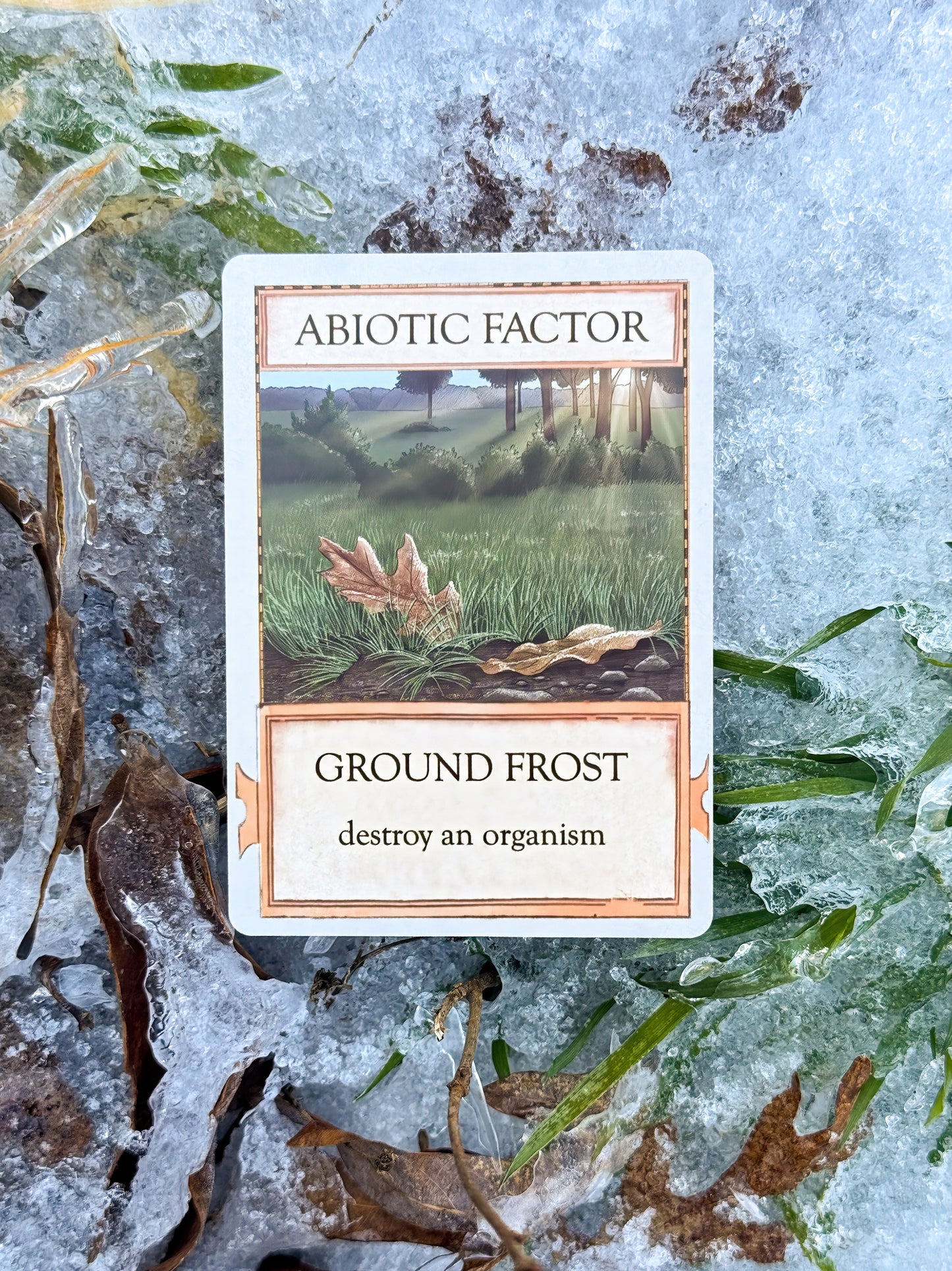 Ecologies: Marvelous Microbes