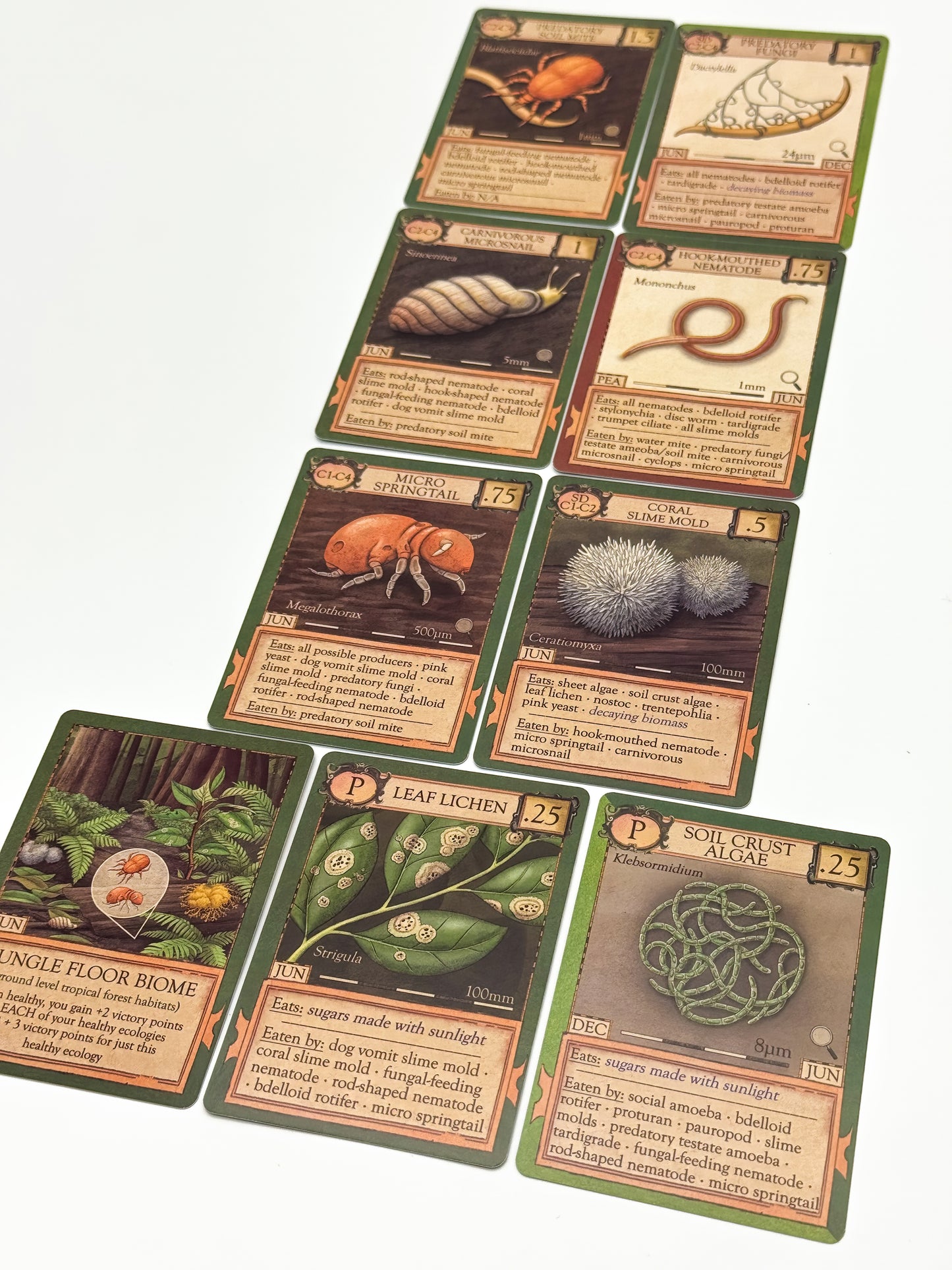 Ecologies: Marvelous Microbes