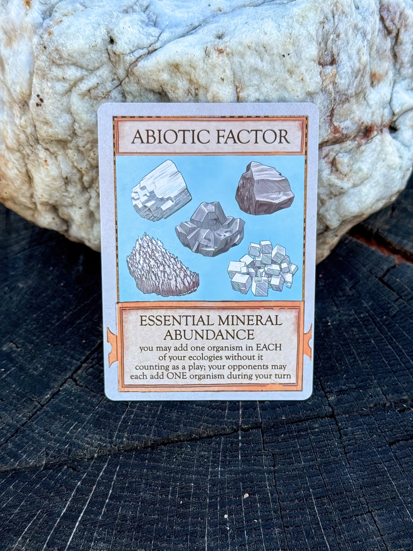 Ecologies: Marvelous Microbes