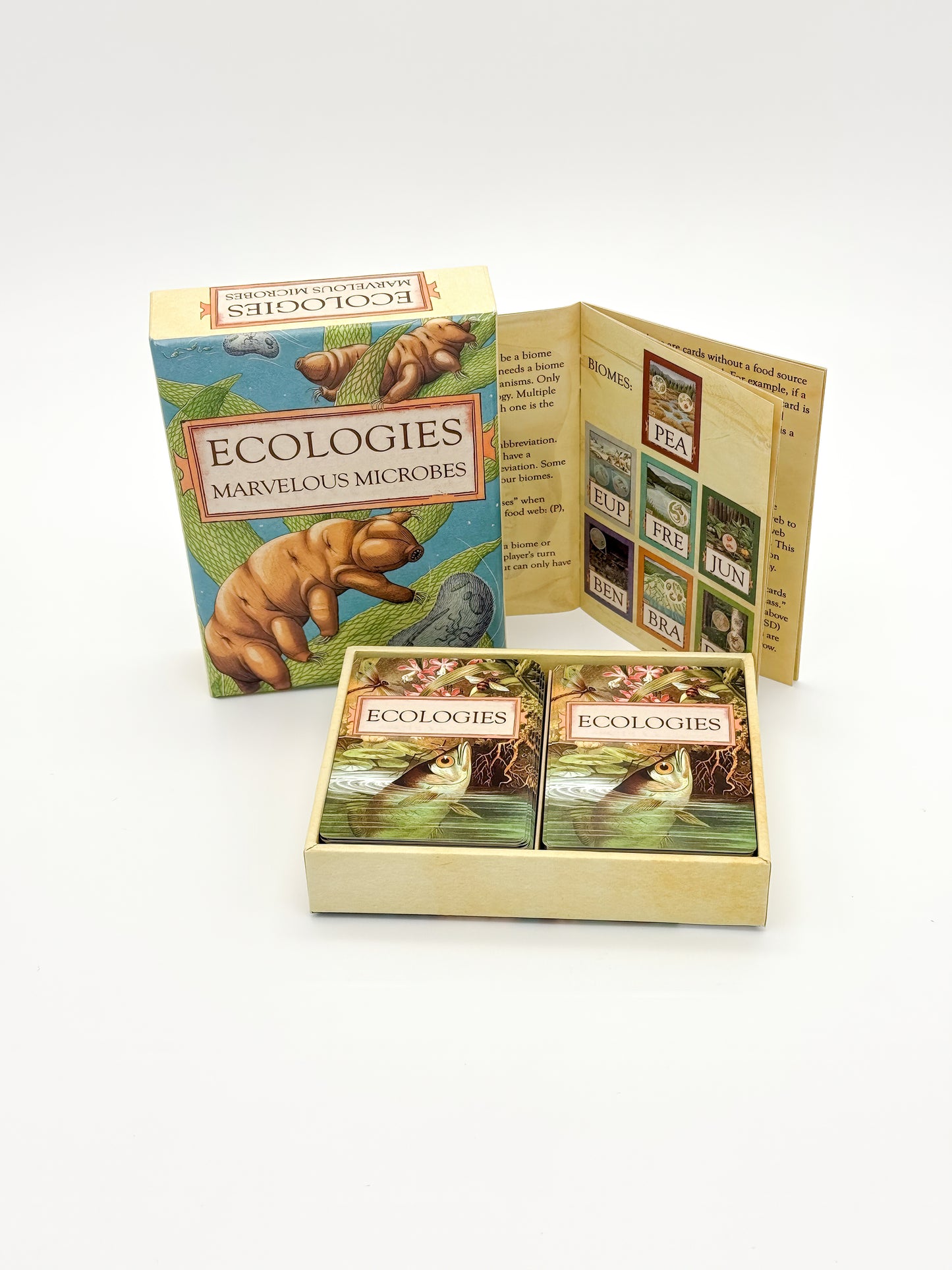 Ecologies: Marvelous Microbes