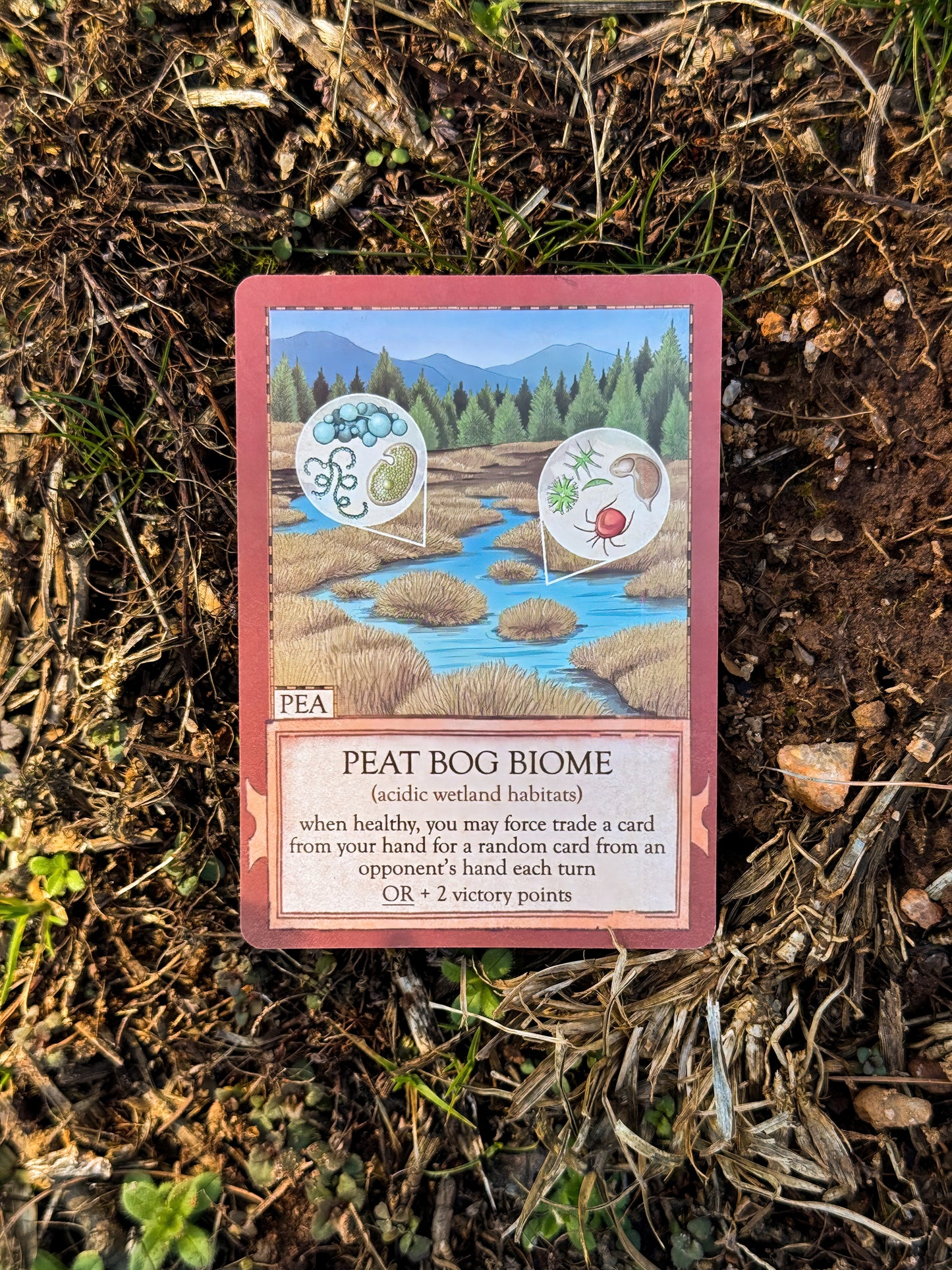 Ecologies: Marvelous Microbes