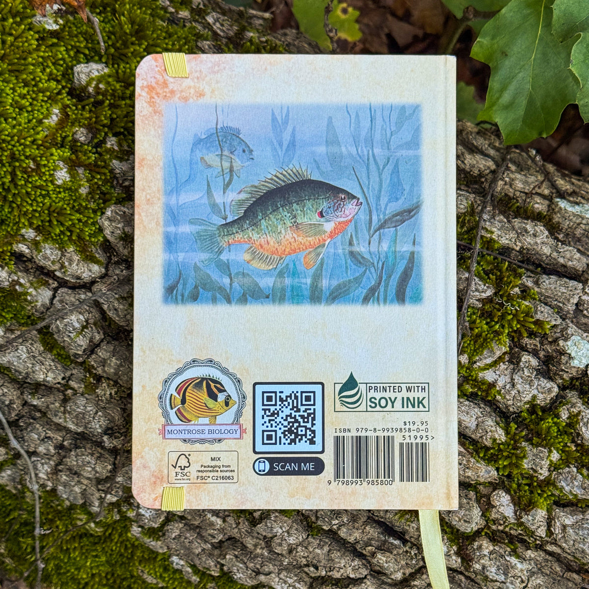 Phenology Journal - Guided Ecosystem Observation Notebook