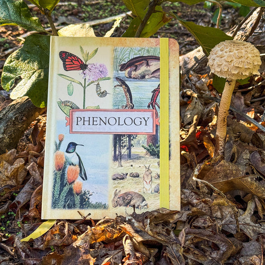 Phenology Journal - Guided Ecosystem Observation Notebook