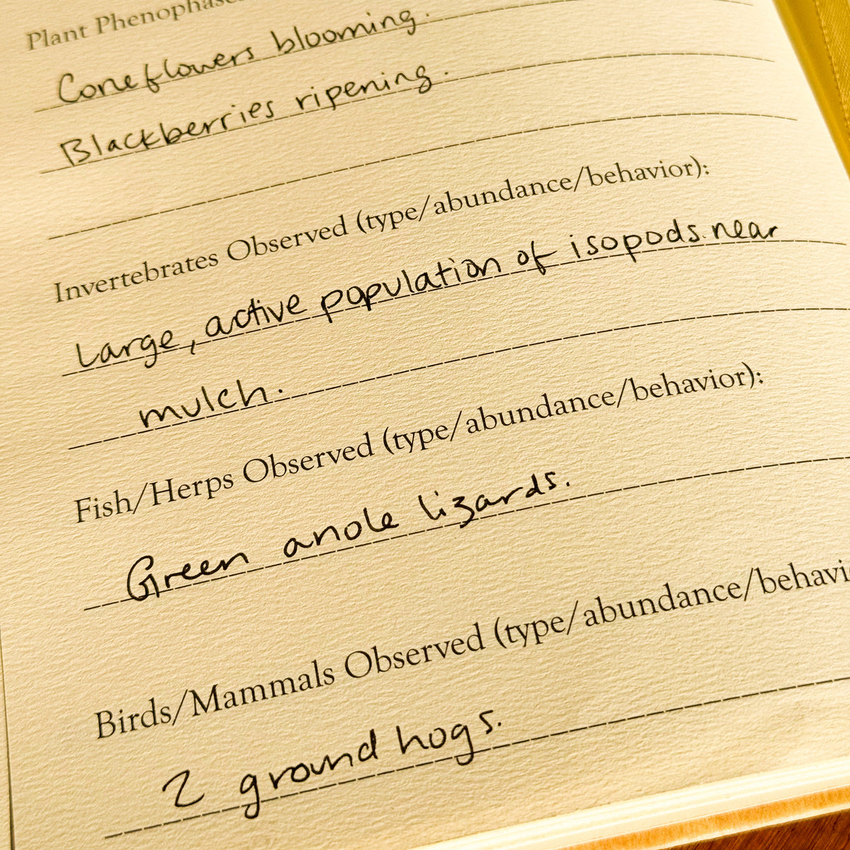 Phenology Journal - Guided Ecosystem Observation Notebook