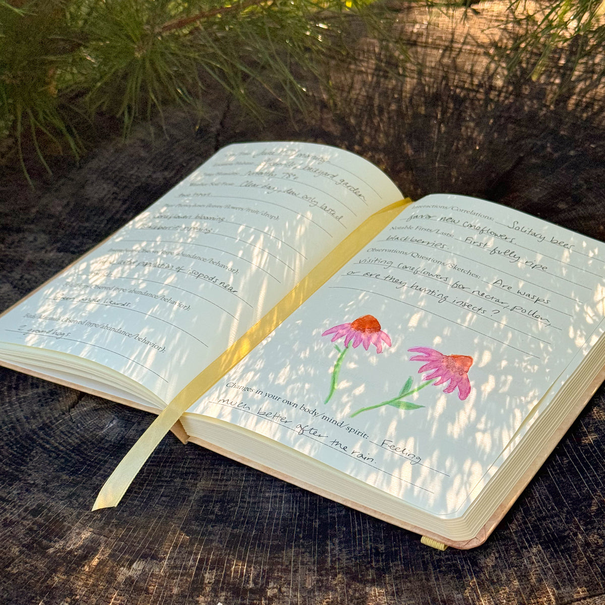 Phenology Journal - Guided Ecosystem Observation Notebook