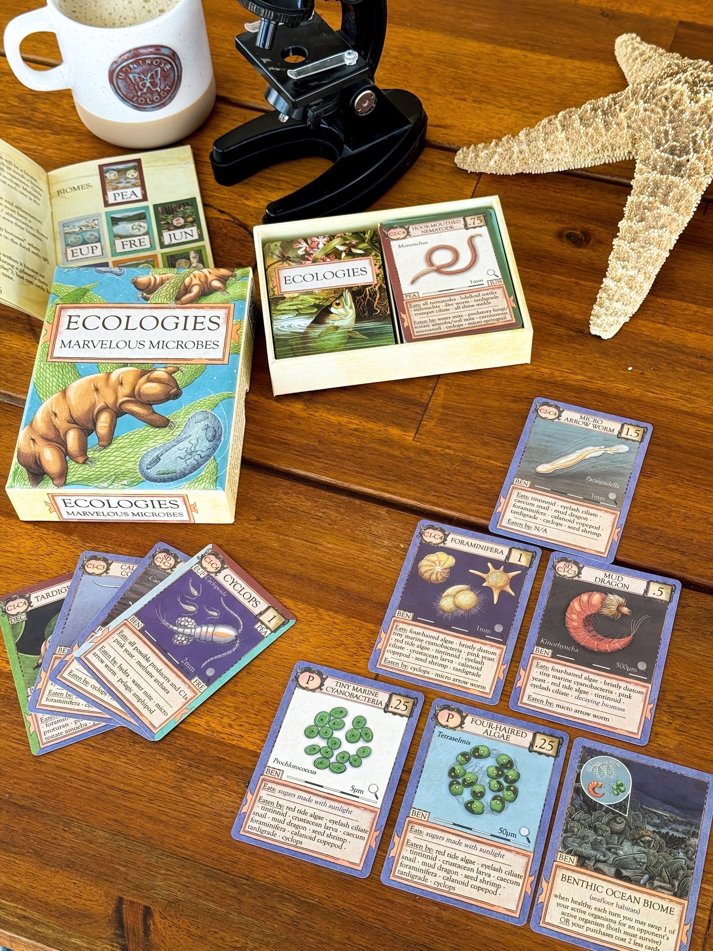 Ecologies: Marvelous Microbes