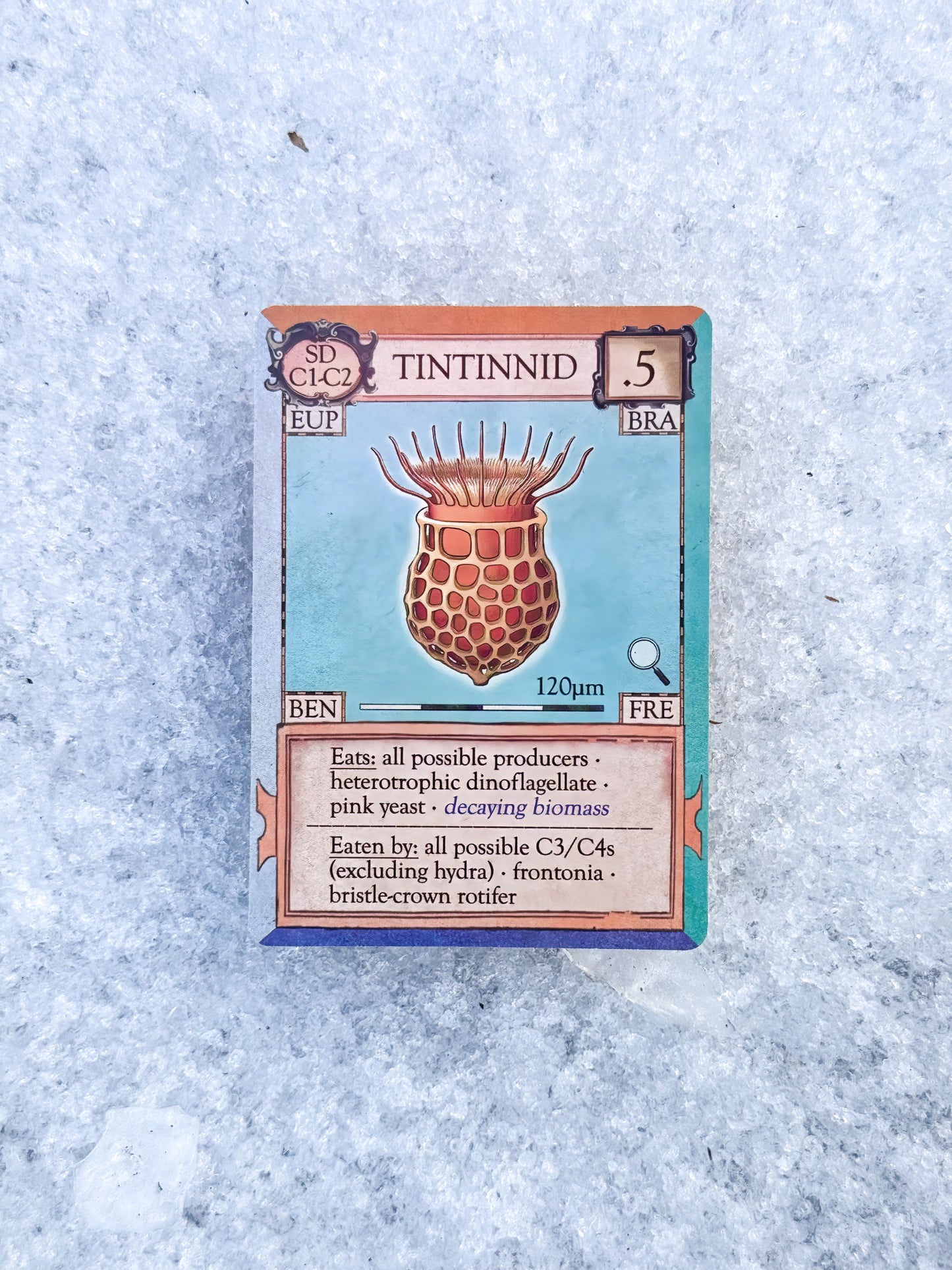 Ecologies: Marvelous Microbes