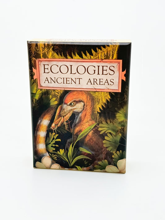 Ecologies: Ancient Areas