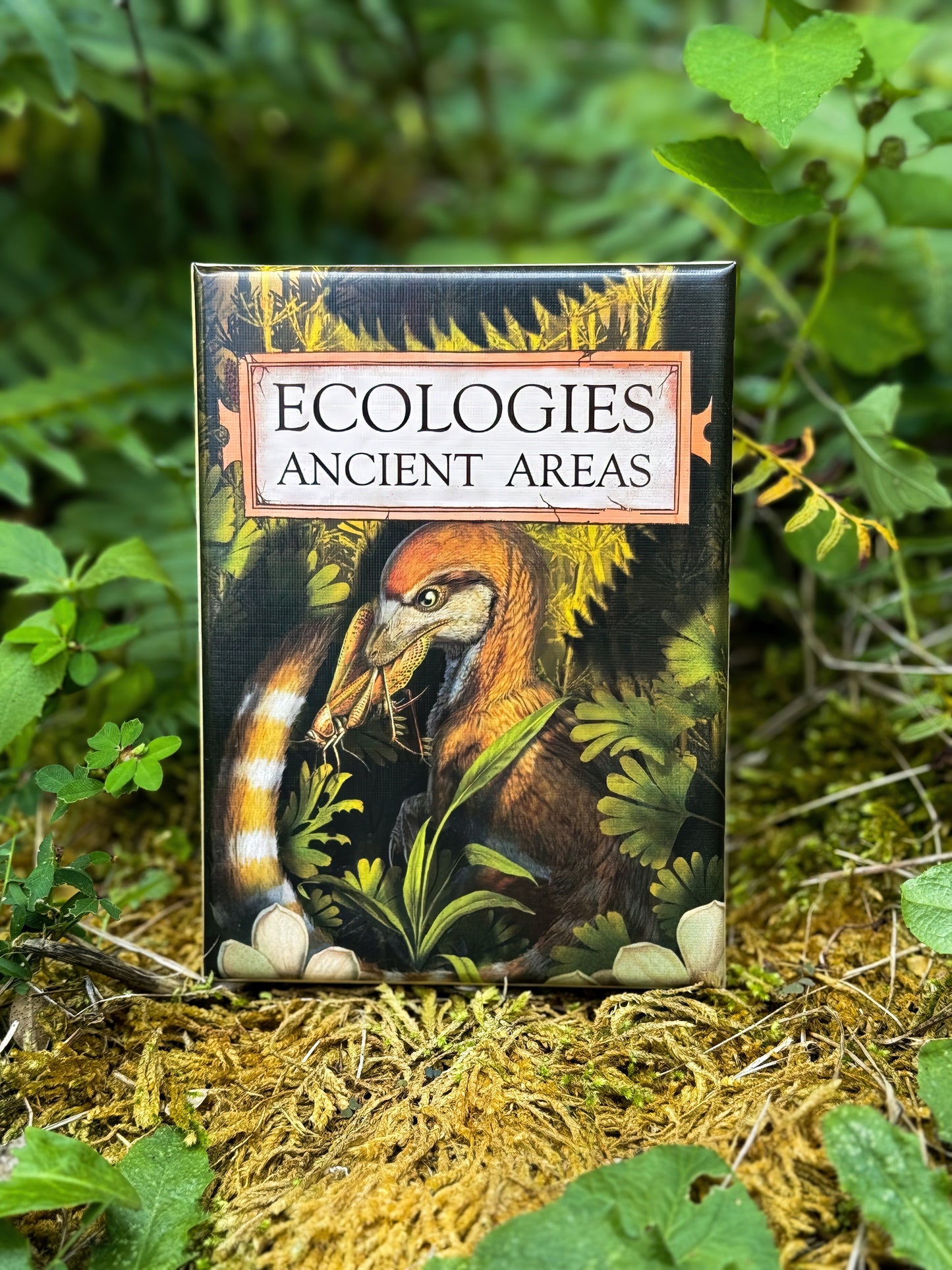 Ecologies: Ancient Areas