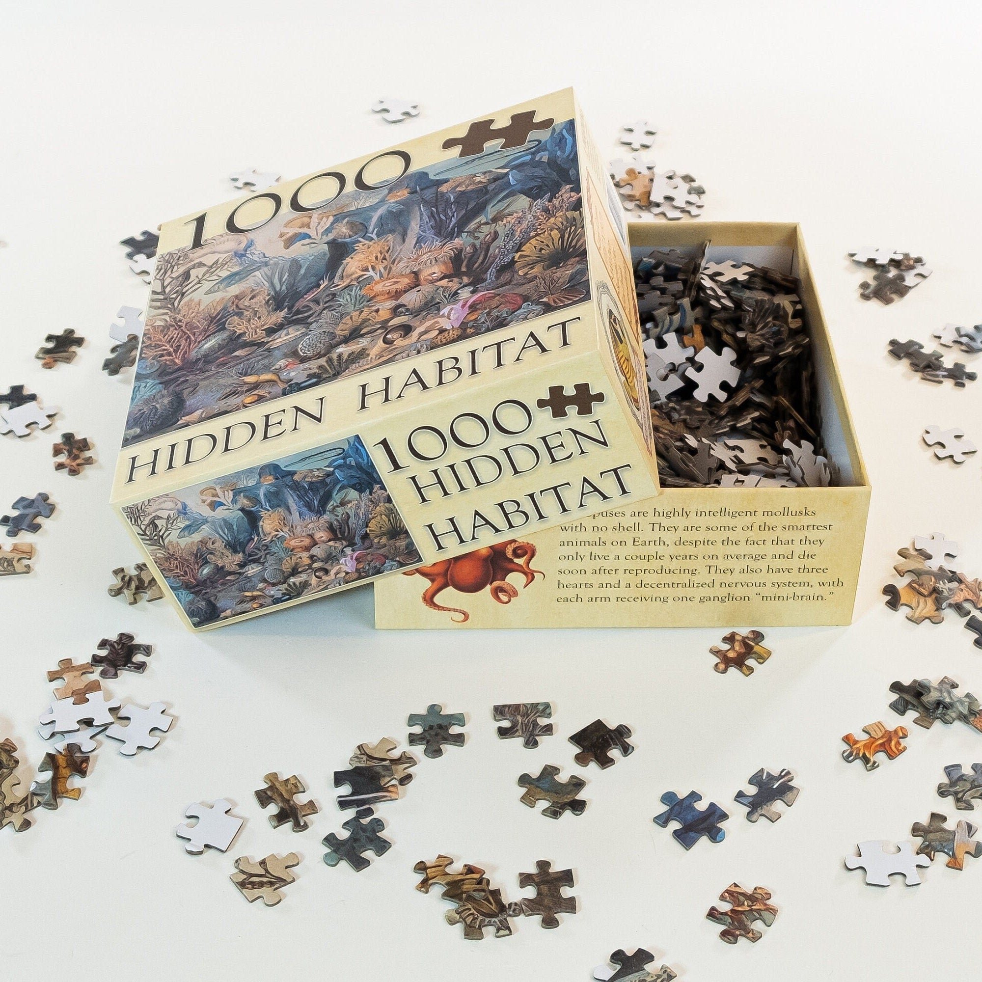 3 Layer 3D Jigsaw deals Puzzle Poster Hidden Nature Collection 5692 The Hidden Reef