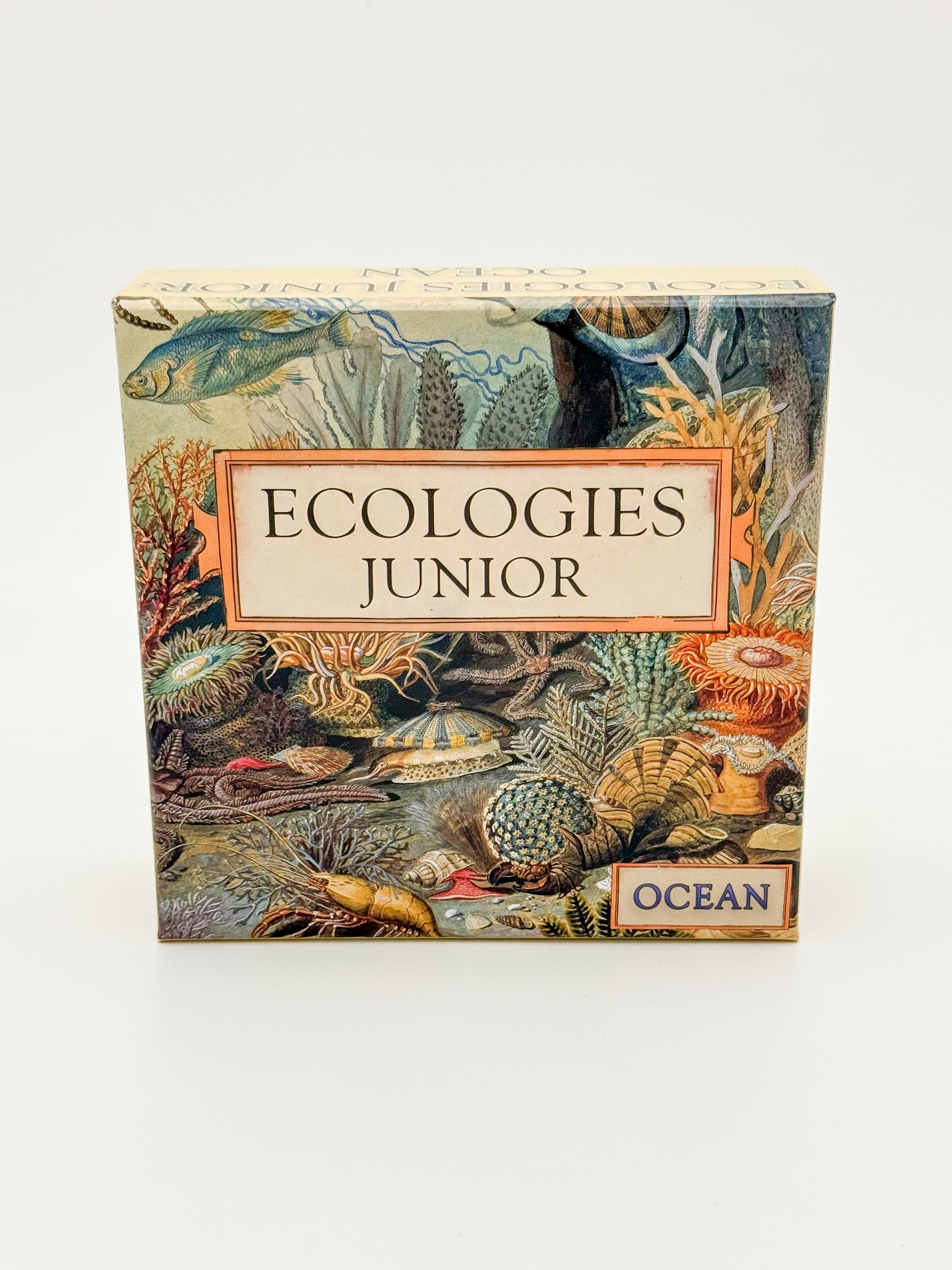Ecologies Junior: Ocean – Montrose Biology