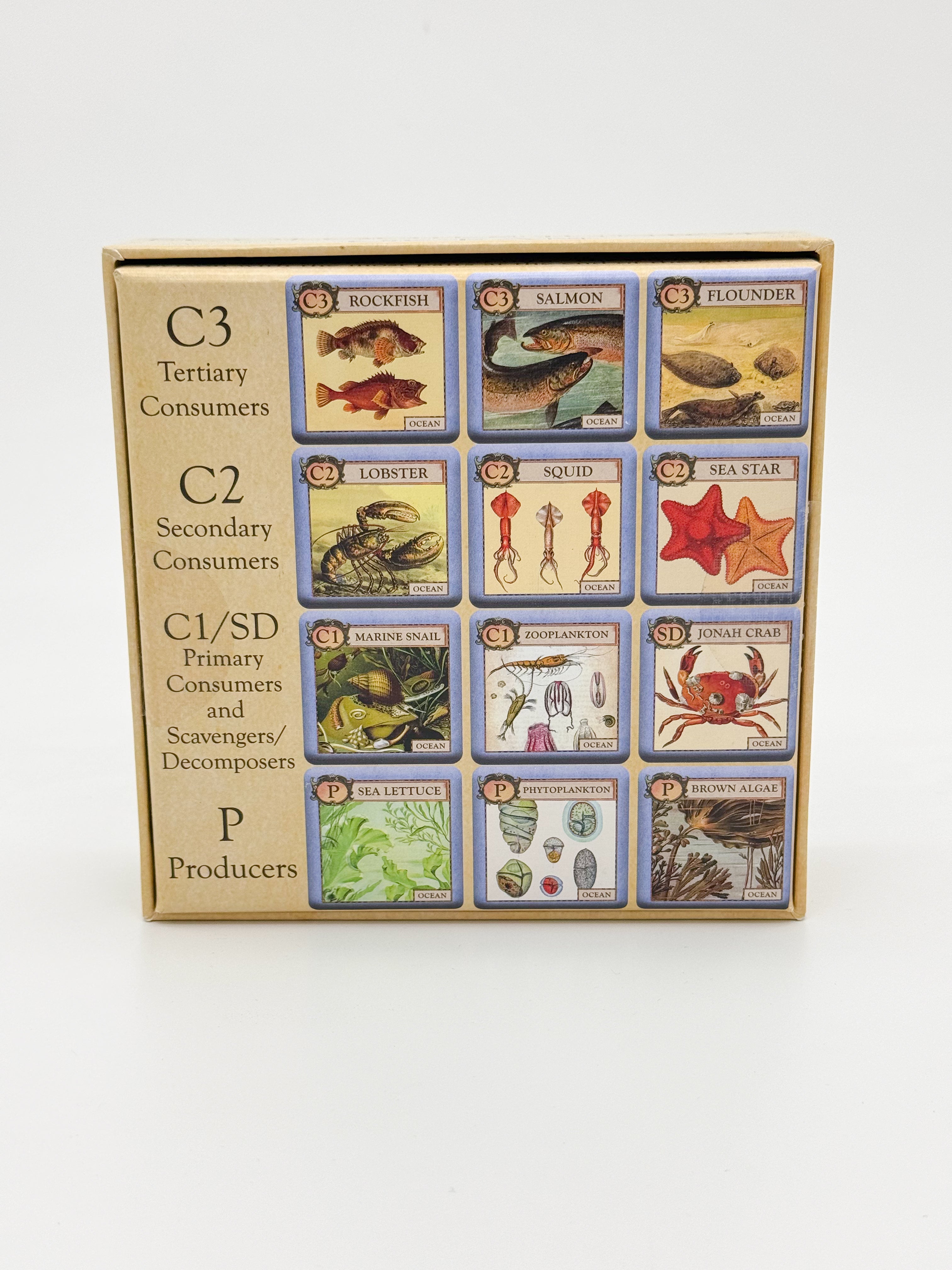 Ecologies Junior: Ocean – Montrose Biology