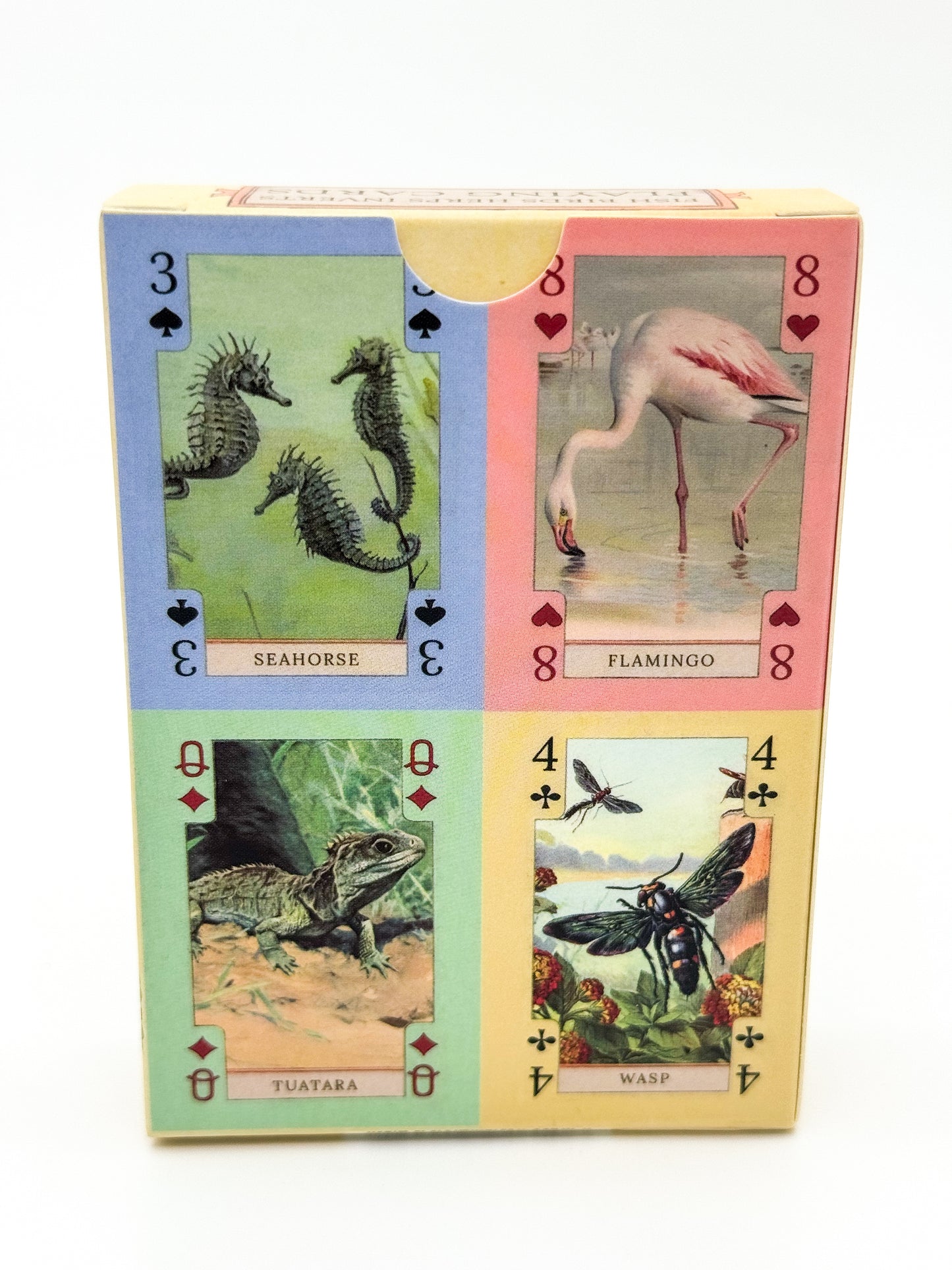Fish, Birds, Herps, and Inverts - Beautiful Vintage Art Playing Cards