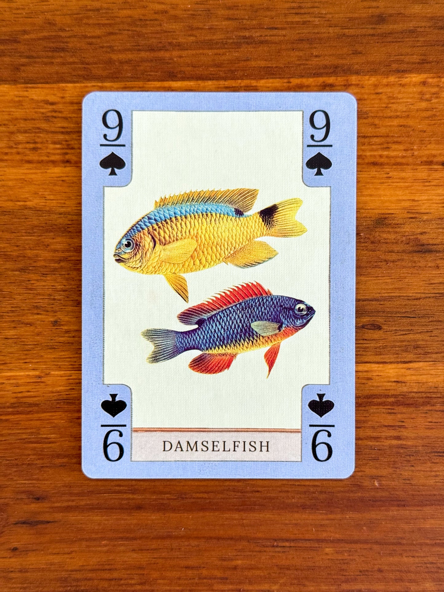 Fish, Birds, Herps, and Inverts - Beautiful Vintage Art Playing Cards