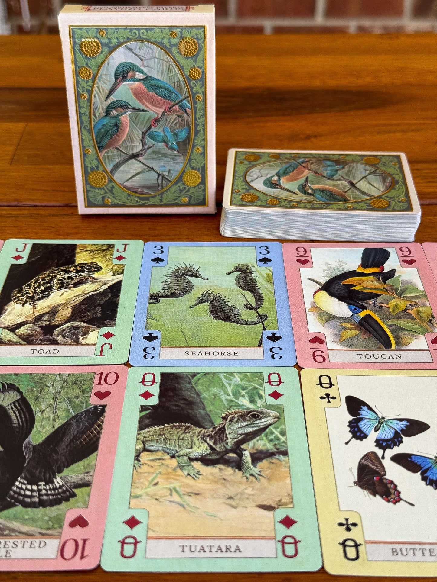 Fish, Birds, Herps, and Inverts - Beautiful Vintage Art Playing Cards